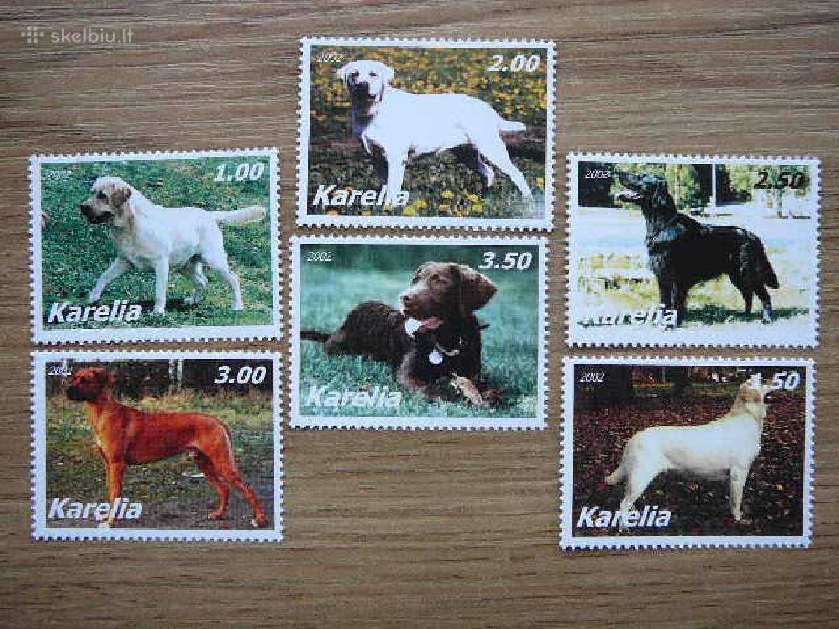 Sunys Karelija (R) 2002 svarus kr88