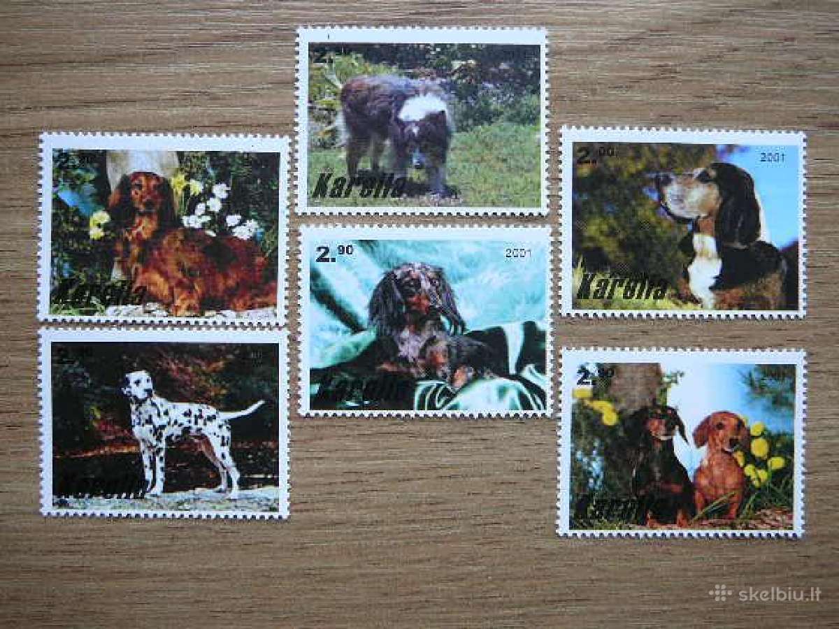 Sunys Karelija (R) 2001 svarus kr89