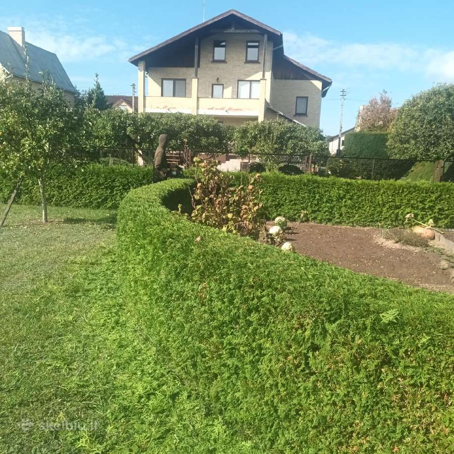 Tvarkom .pjaunam.sodinam - nuotraukos Nr. 9