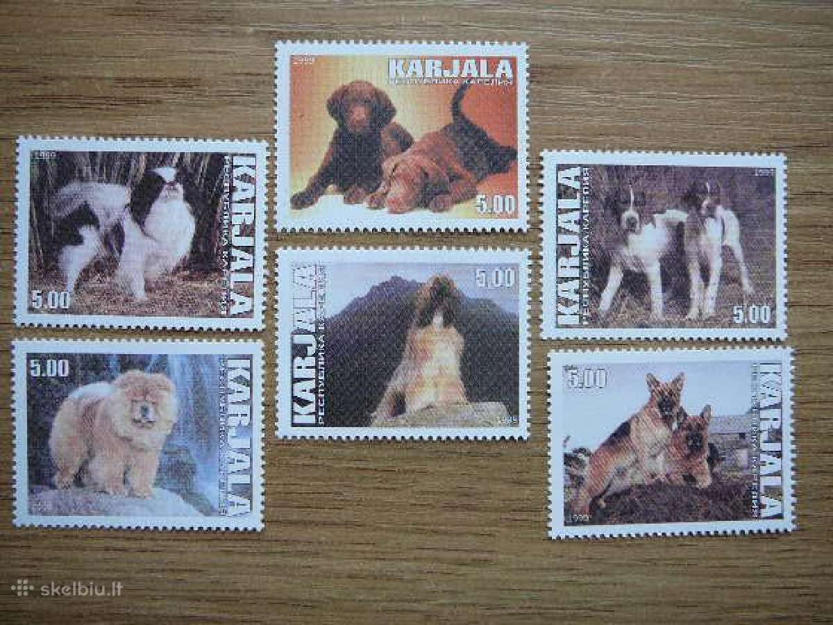 Sunys Karelija (R) 1999 svarus kr93