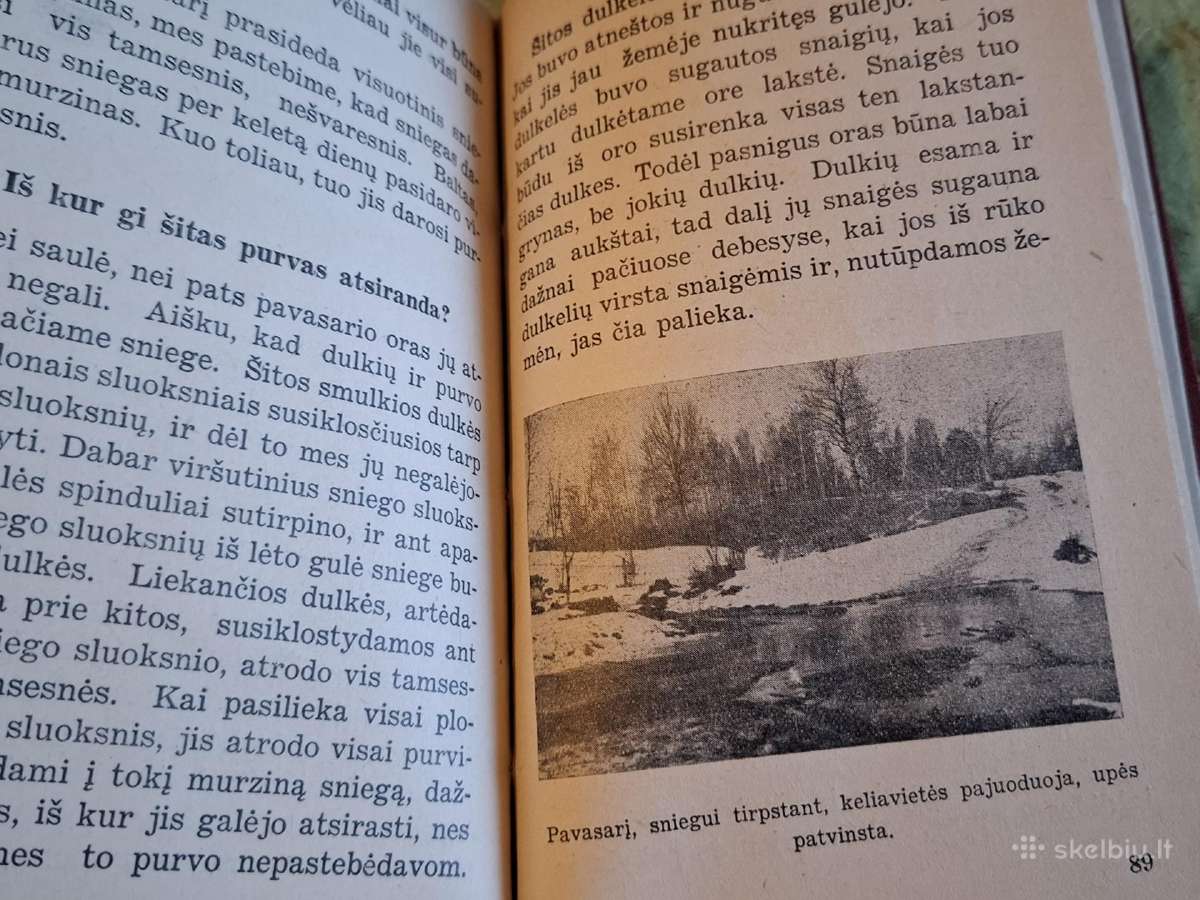 Snaigės istorija - nuotraukos Nr. 8
