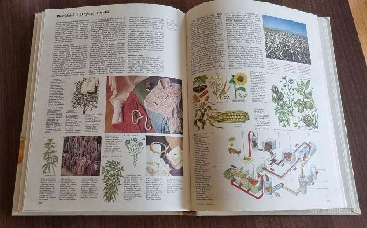 Enciklopedija "Žemė ir jos gėrybės" - nuotraukos Nr. 6