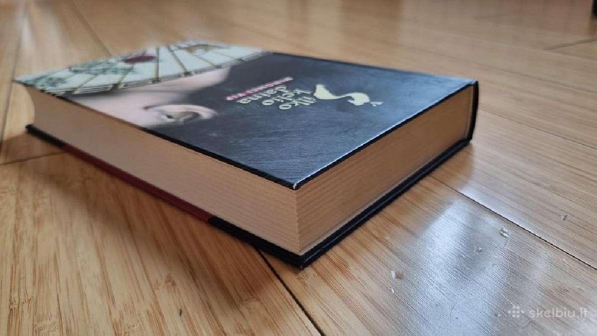 Knyga "Šilko kelio daina" - nuotraukos Nr. 4