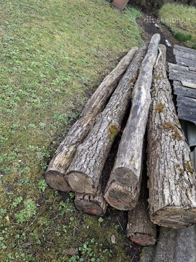 Ažuoliniai rastai