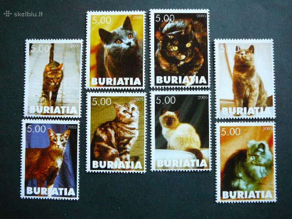 Kates Buriatija (R) 2005 svarus br55