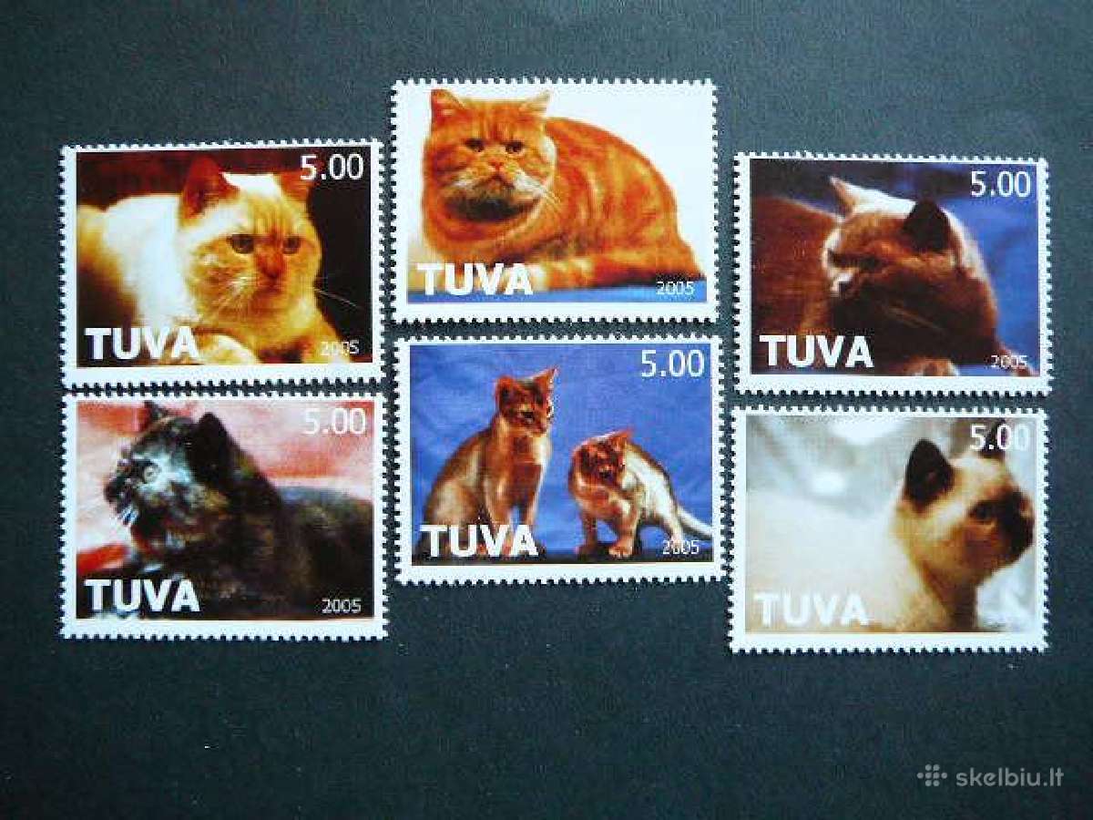 Kates Tuva (R) 2005 svarus tv44