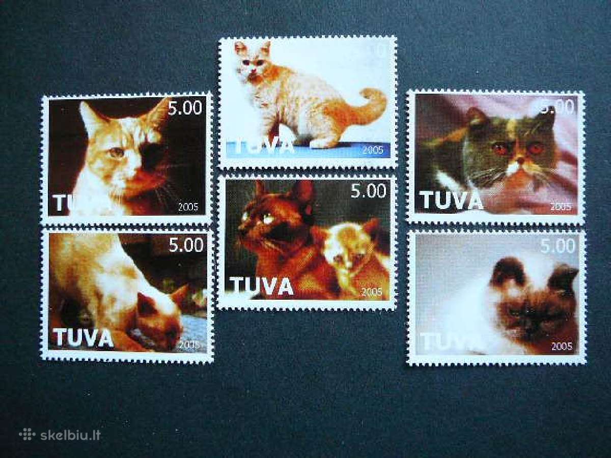Kates Tuva (R) 2005 svarus tv45