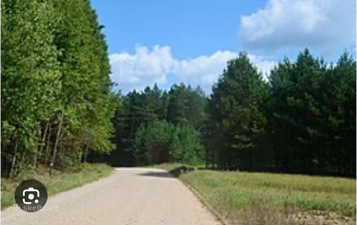Perkame Mišką Su Žeme Arba Išsikirtimui