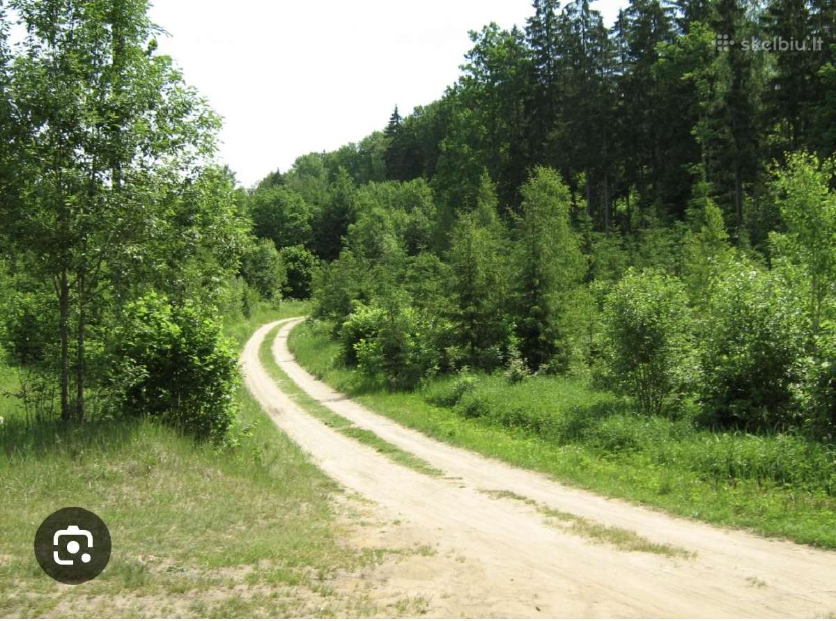 Perkame Mišką Su Žeme Arba Išsikirtimui - nuotraukos Nr. 2