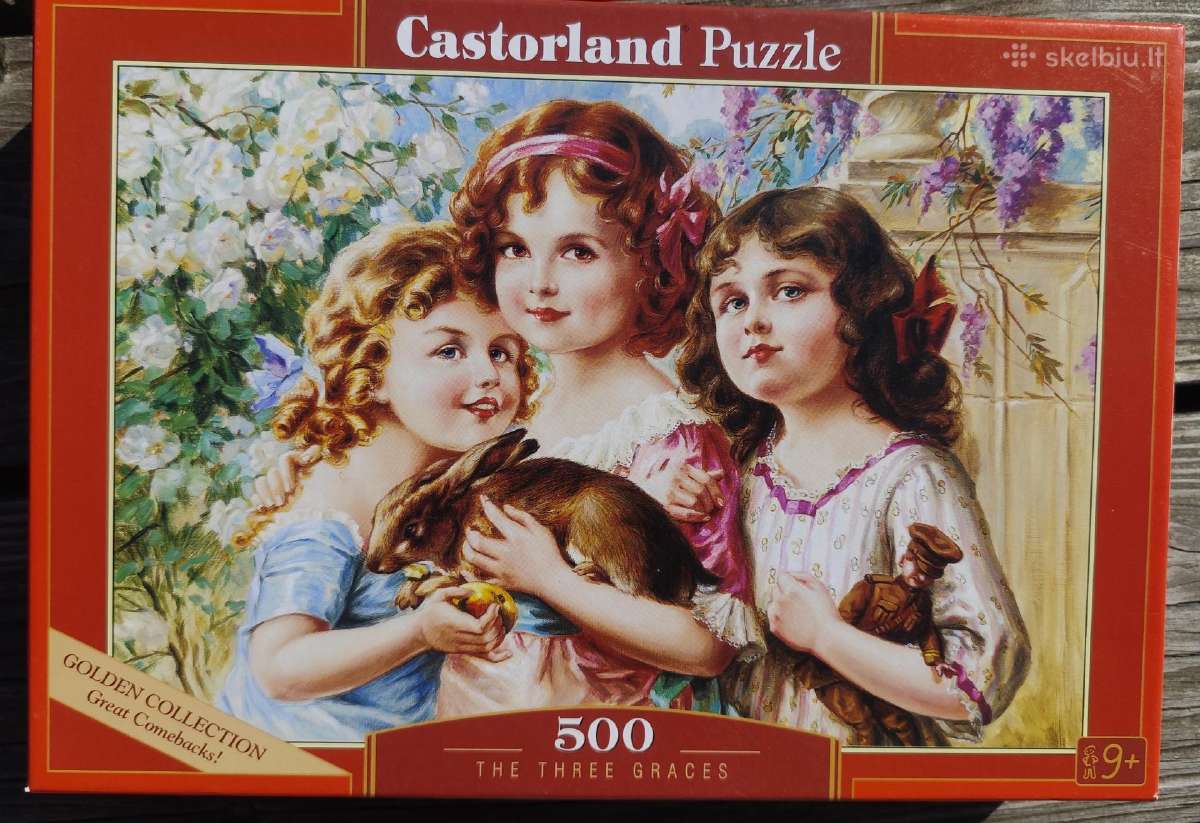 Dėlionės puzzle - nuotraukos Nr. 4
