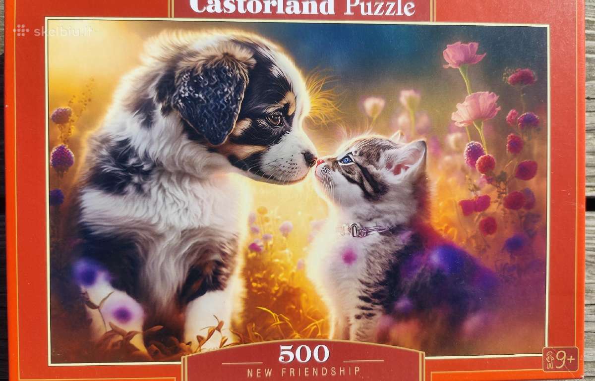 Dėlionės puzzle - nuotraukos Nr. 5