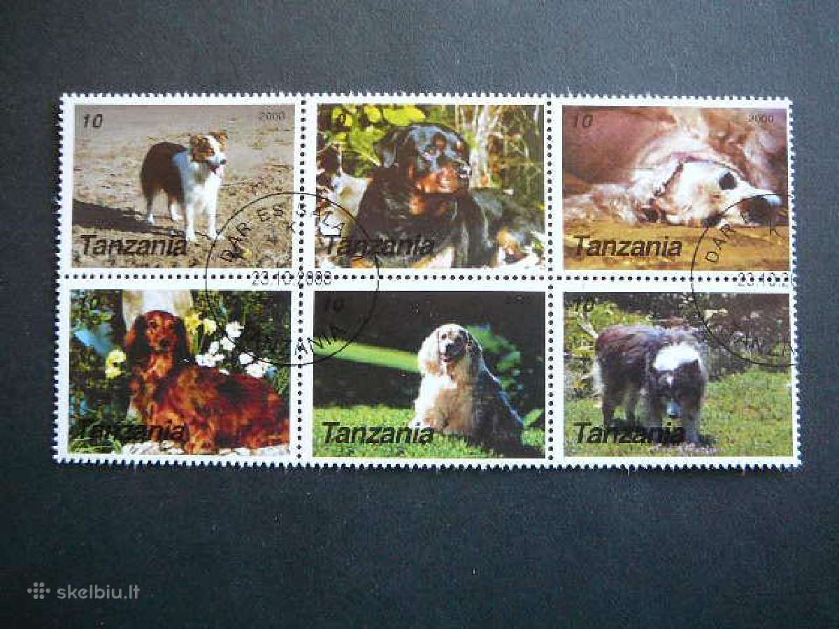 Sunys Tanzanija 2000 antsp. tnz22