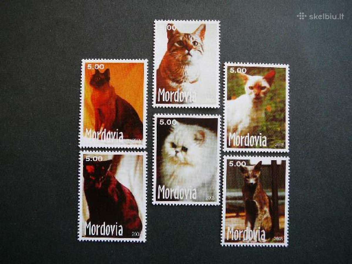 Kates Mordovija (R) 2005 svarus mrd63
