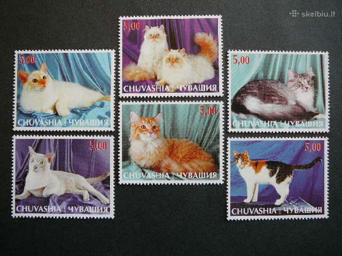 Kates Ciuvasija (R) 2000 svarus cv32