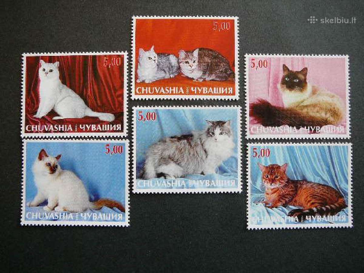 Kates Ciuvasija (R) 2000 svarus cv33