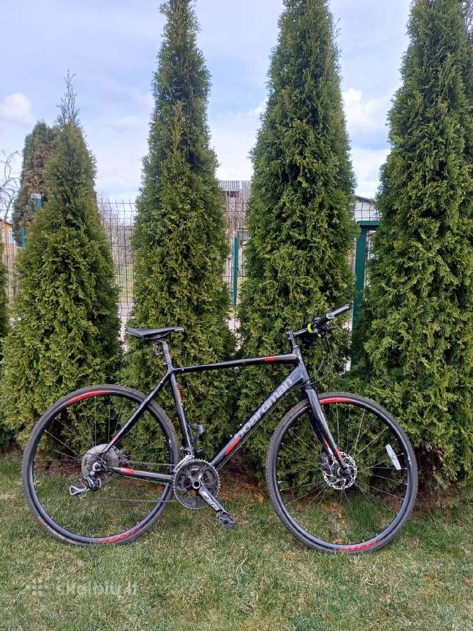 Dviratis Boardman Pro