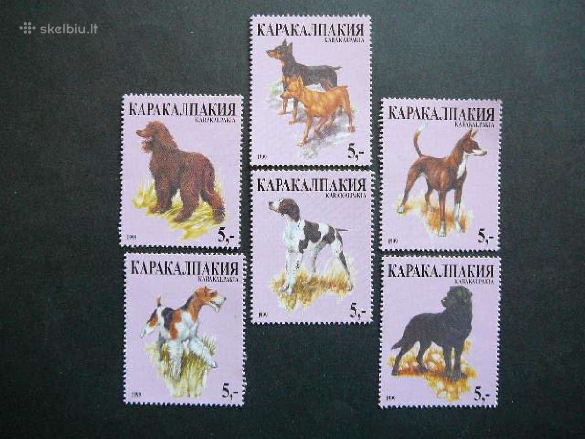 Sunys Karakalpakija (R) 1999 svarus kkp21