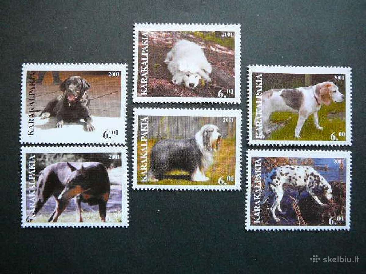 Sunys Karakalpakija (R) 2001 svarus kkp22