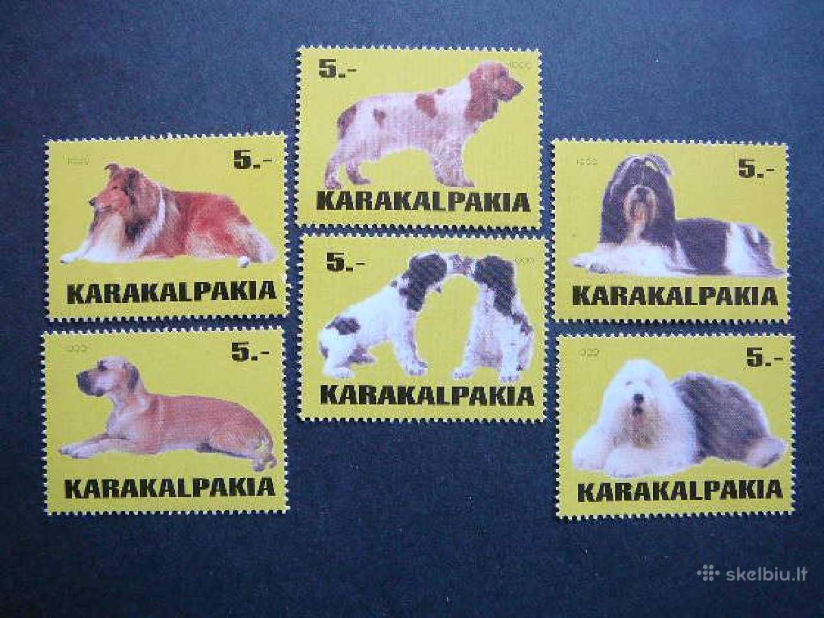 Sunys Karakalpakija (R) 1999 svarus kkp23