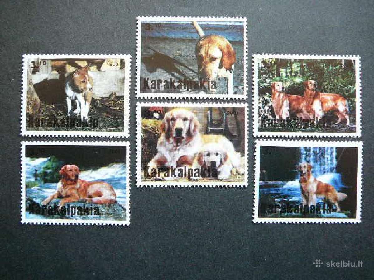 Sunys Karakalpakija (R) 2001 svarus kkp24
