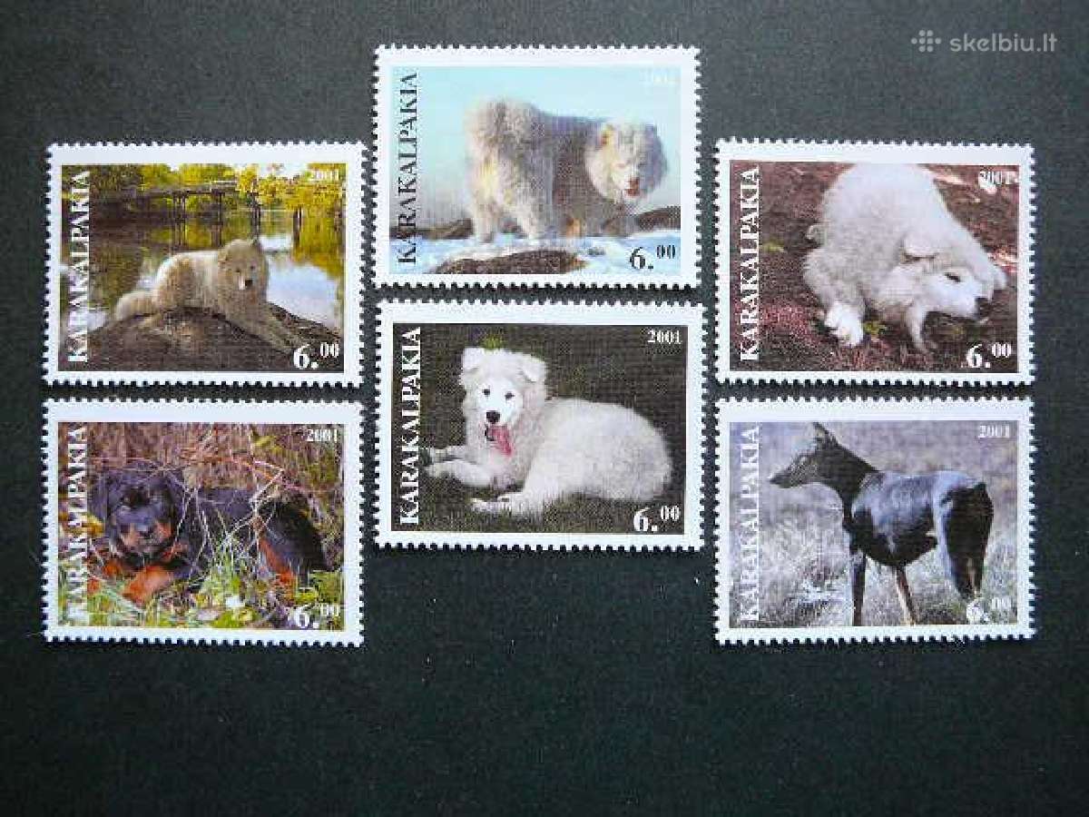 Sunys Karakalpakija (R) 2001 svarus kkp25