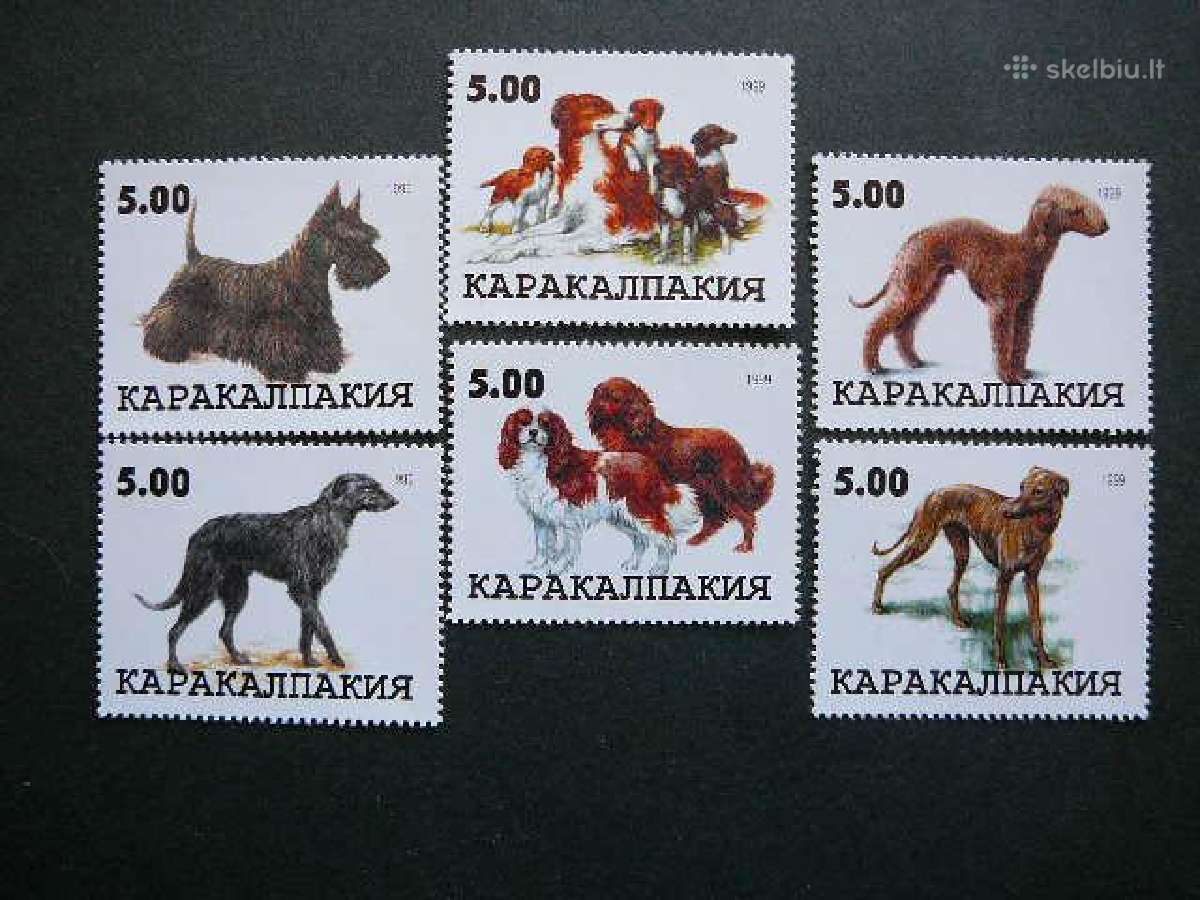Sunys Karakalpakija (R) 1999 svarus kkp26