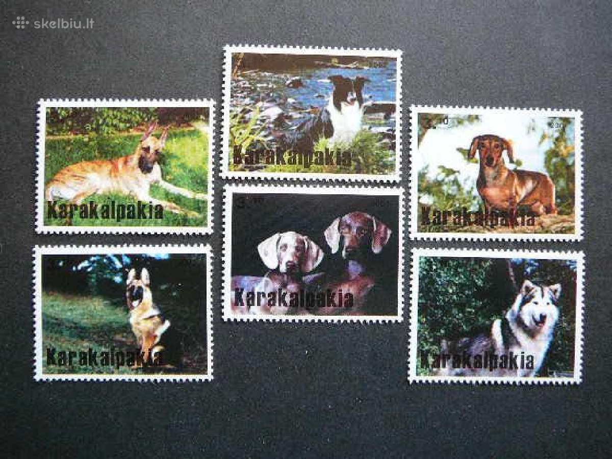Sunys Karakalpakija (R) 2001 svarus kkp27