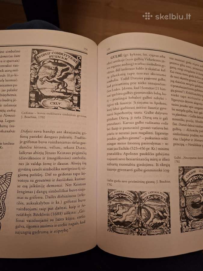 Naujasis simbolių žodynas - nuotraukos Nr. 6