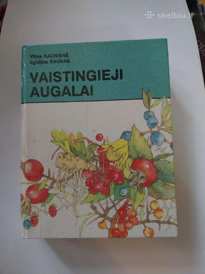 Knyga