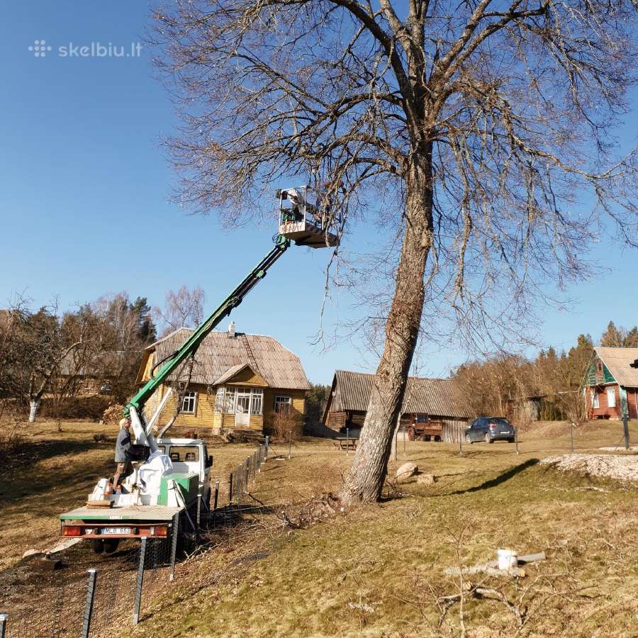 Vejos atnaujinimas įrengimas žolės pjovimas - nuotraukos Nr. 11