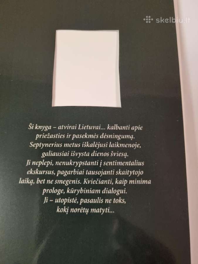 Geltonieji blok notai - nuotraukos Nr. 2