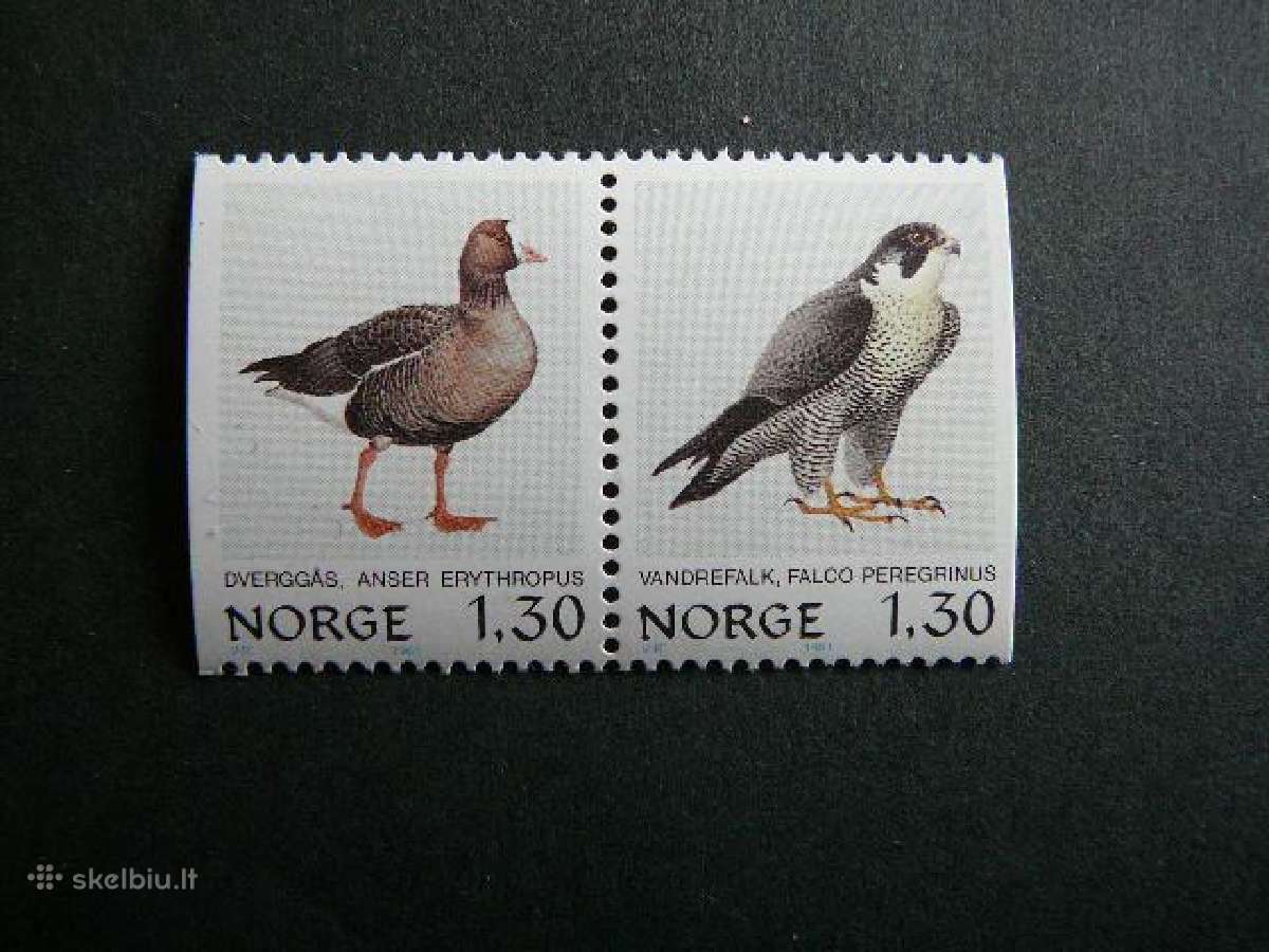Antys Sakalas Pauksciai Norvegija 1981 Mnh nvg103