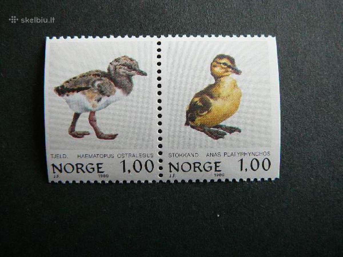 Pauksciai Norvegija 1980 Mnh nvg104