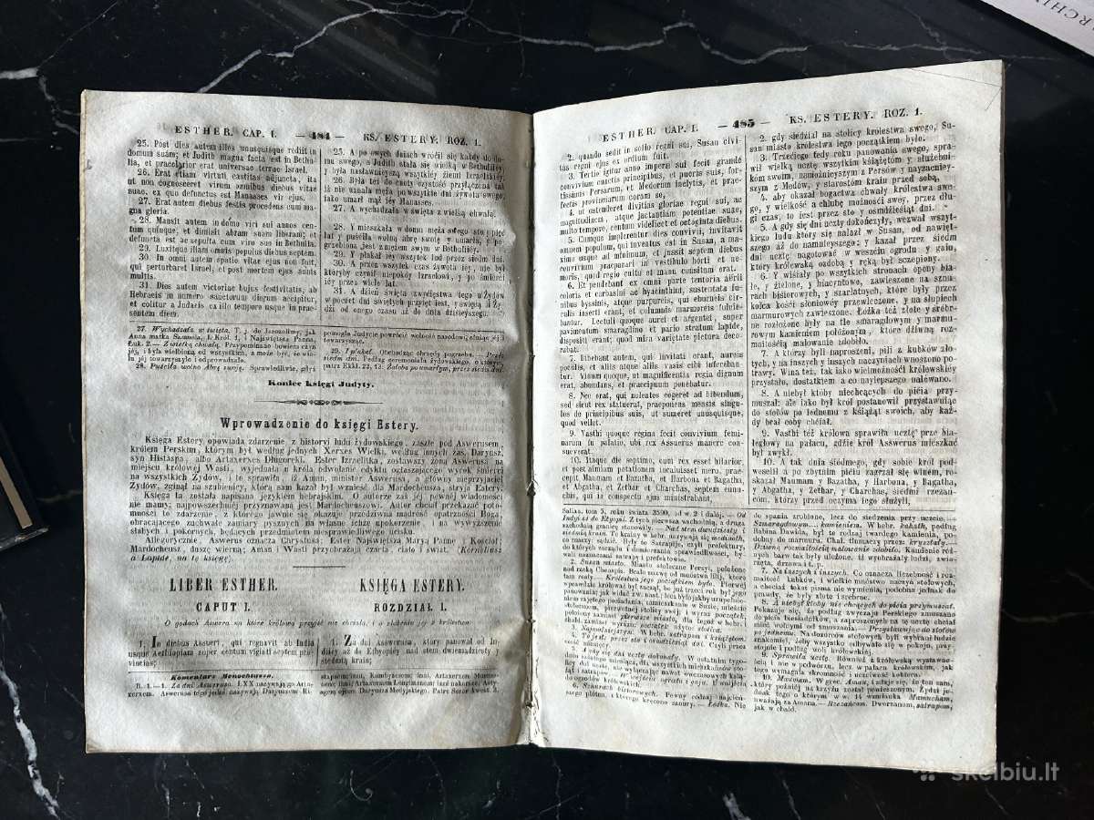 Biblia Lacinsko-polska 1862m. - nuotraukos Nr. 5