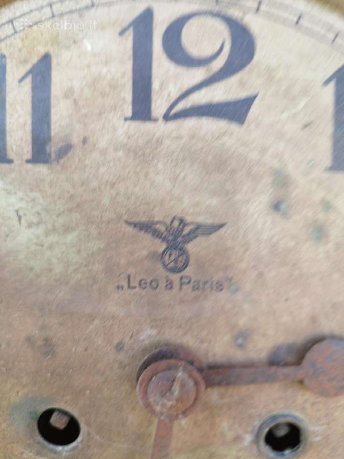 Sieninio laikrodžio likučiai