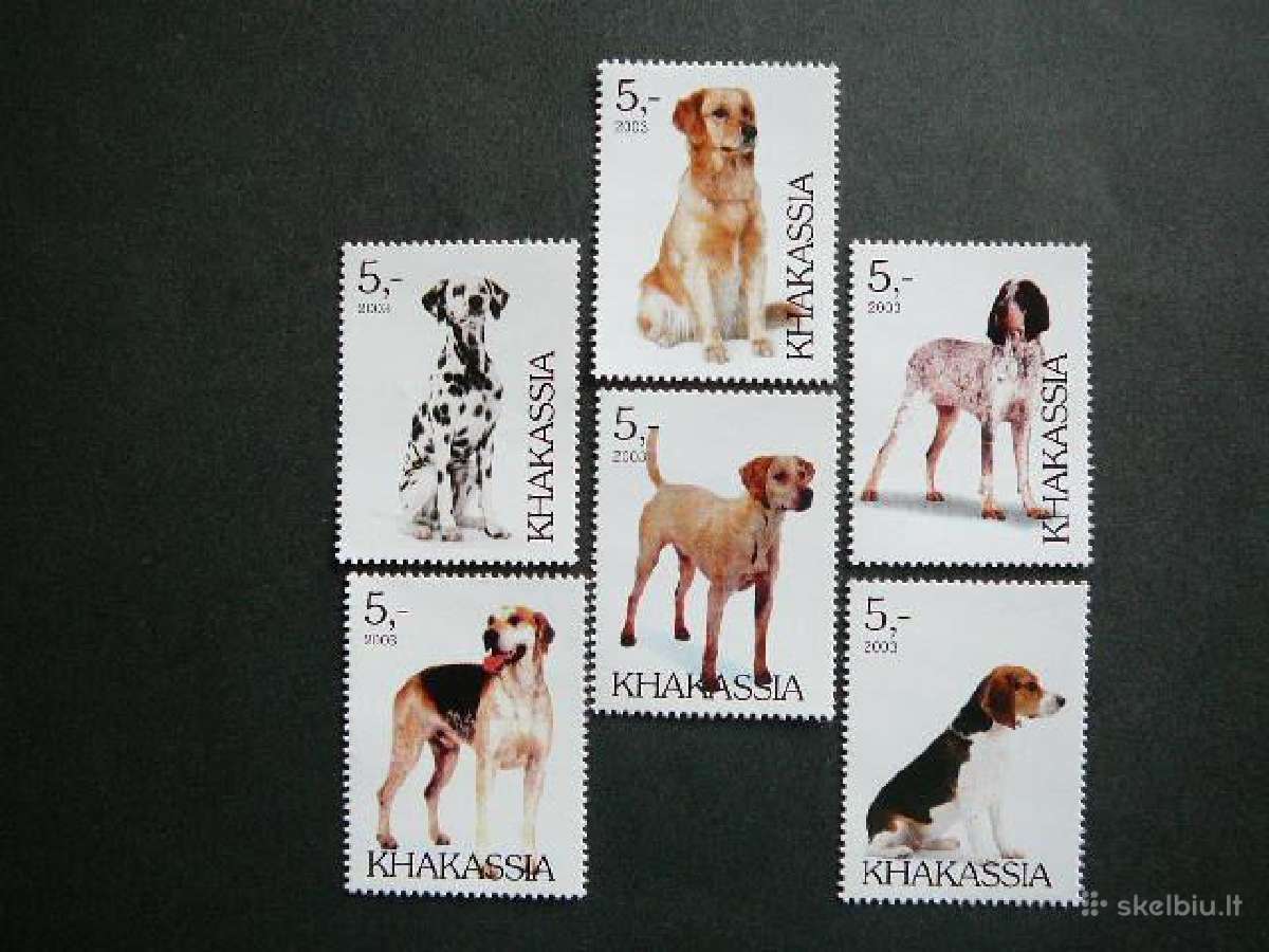 Sunys Chakasija (R) 2003 svarus chk41