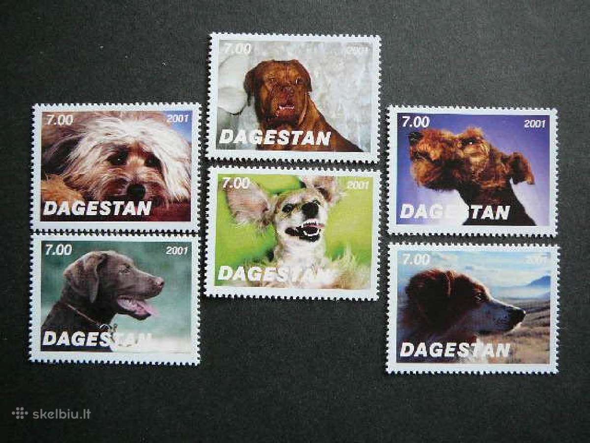 Sunys Dagestanas (R) 2001 svarus dg82