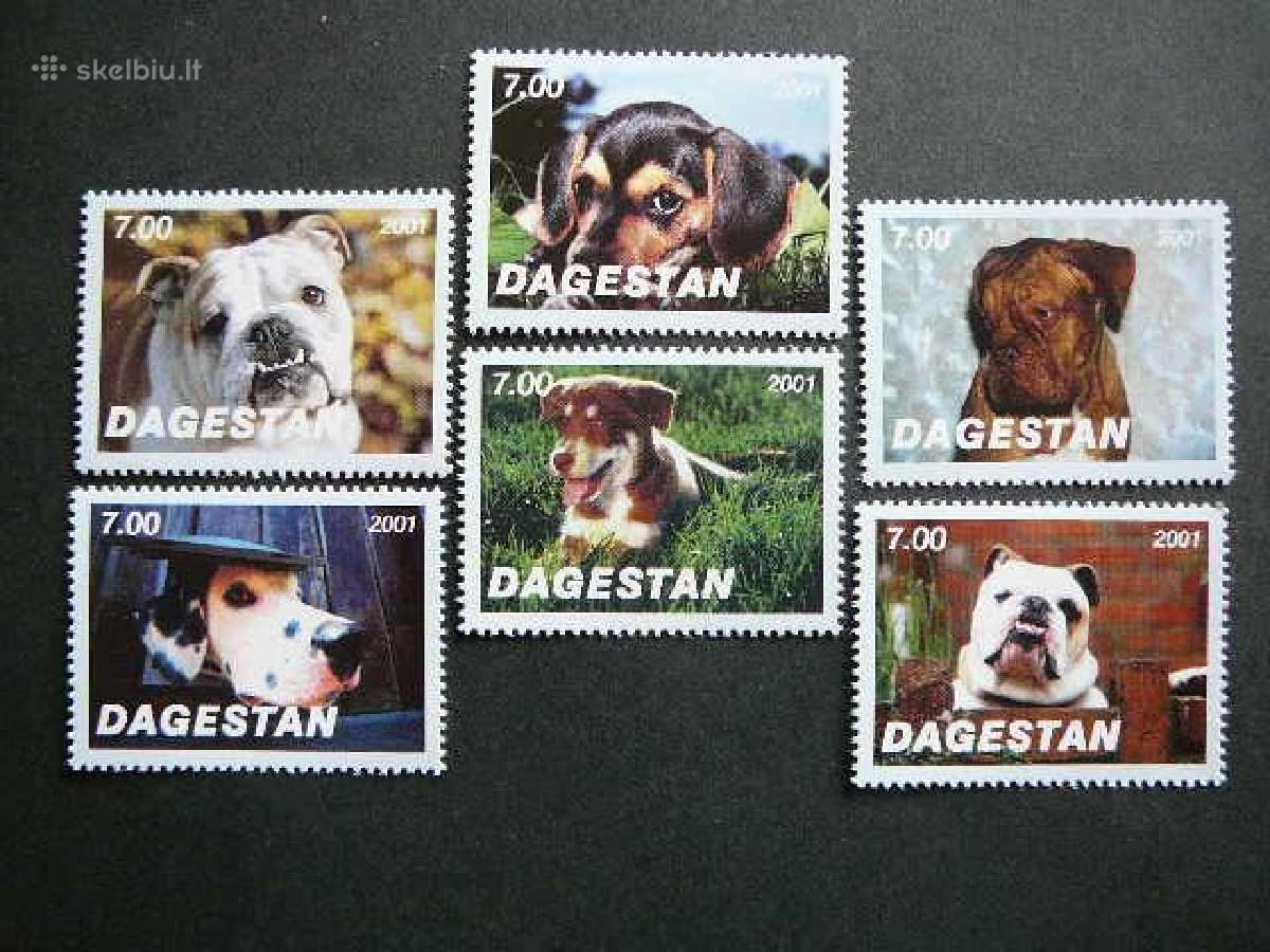 Sunys Dagestanas (R) 2001 svarus dg83