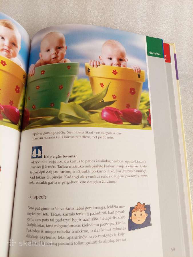 Patarimai žaliems tėvams - nuotraukos Nr. 4