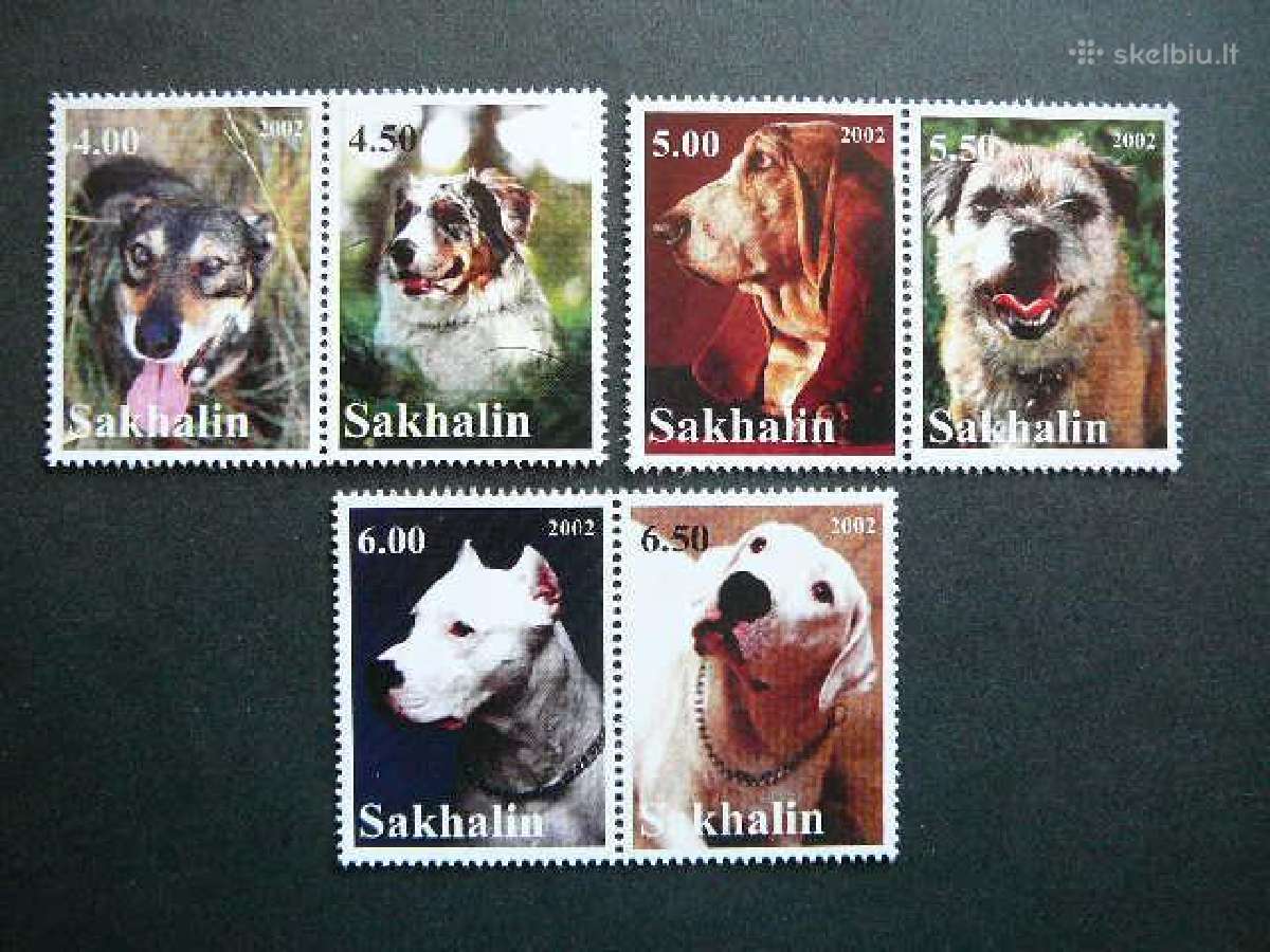 Sunys Sachalinas (R) 2002 svarus sch44