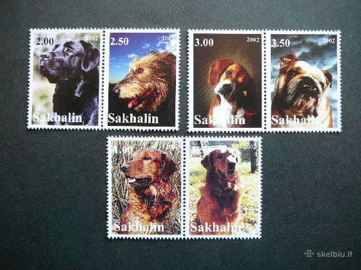 Sunys Sachalinas (R) 2002 svarus sch45