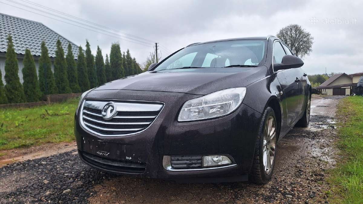 Opel Insignia dalys
