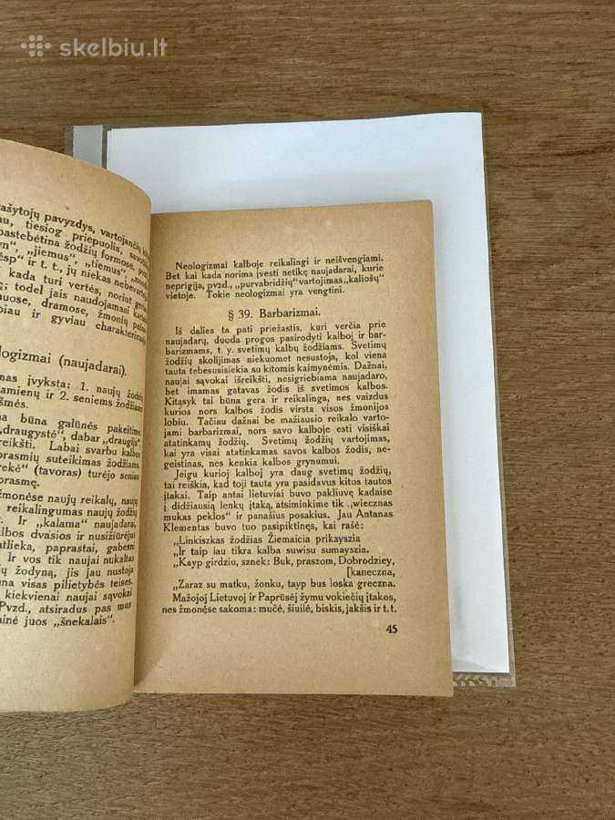 Kazys Bizauskas ,Literatūros teorija “ 1922 m - nuotraukos Nr. 4