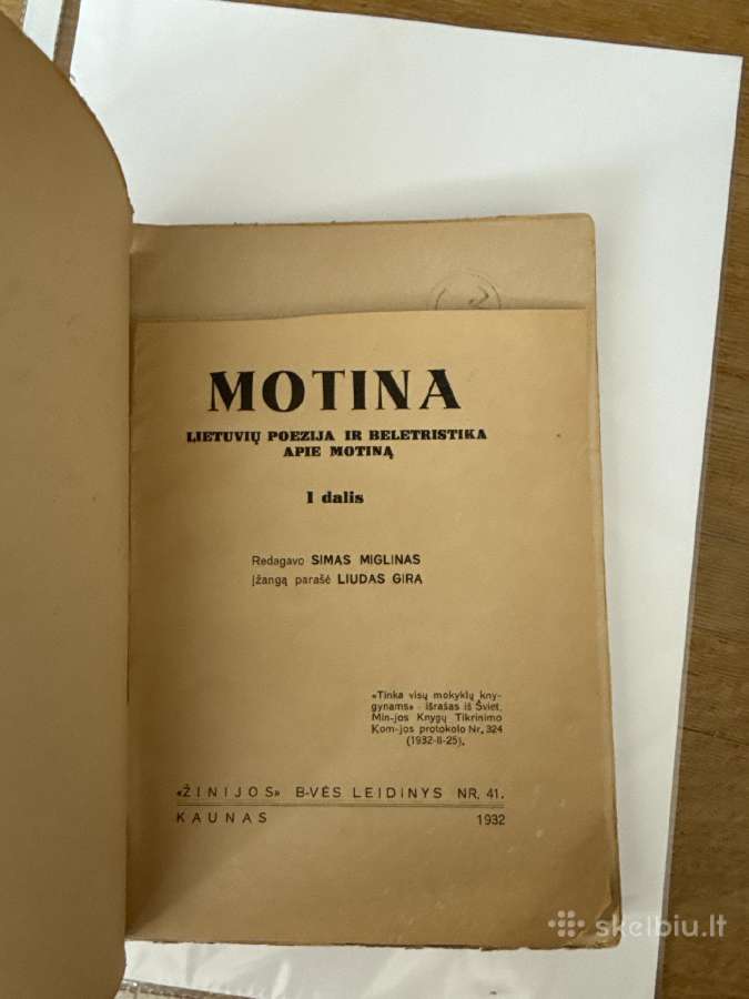 Motina(lietuvių poezija ir beletristika apie motin - nuotraukos Nr. 2