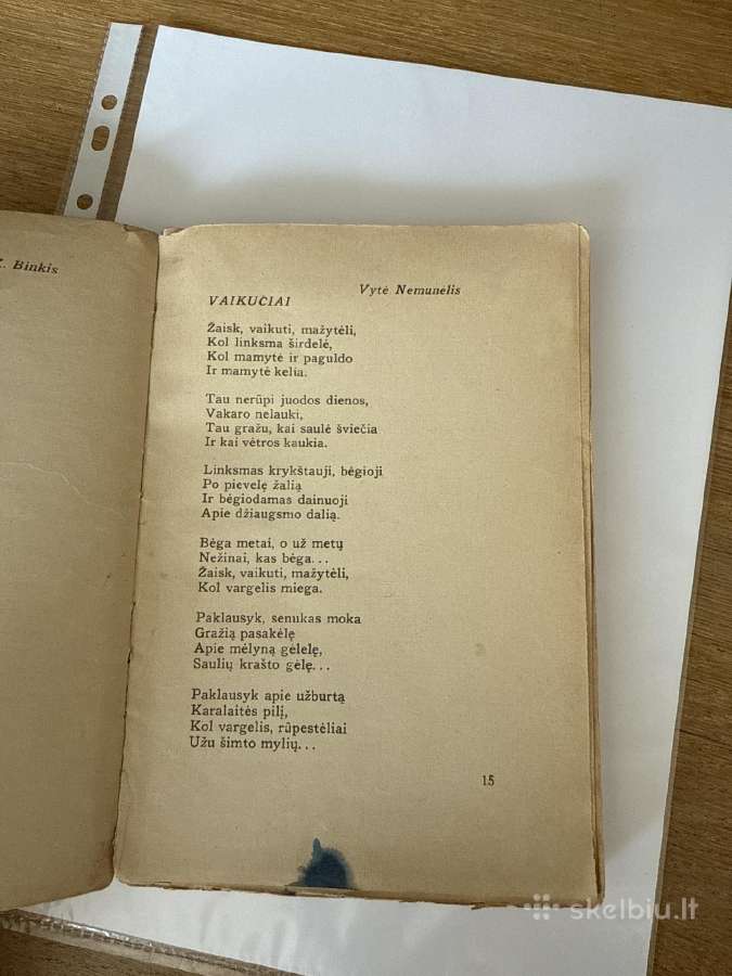 Motina(lietuvių poezija ir beletristika apie motin - nuotraukos Nr. 3
