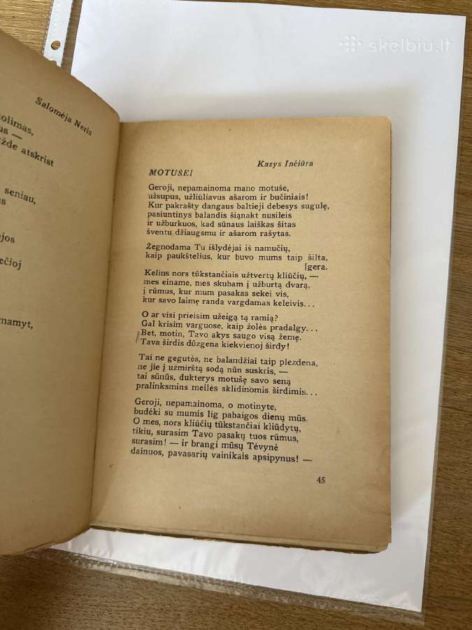 Motina(lietuvių poezija ir beletristika apie motin - nuotraukos Nr. 4