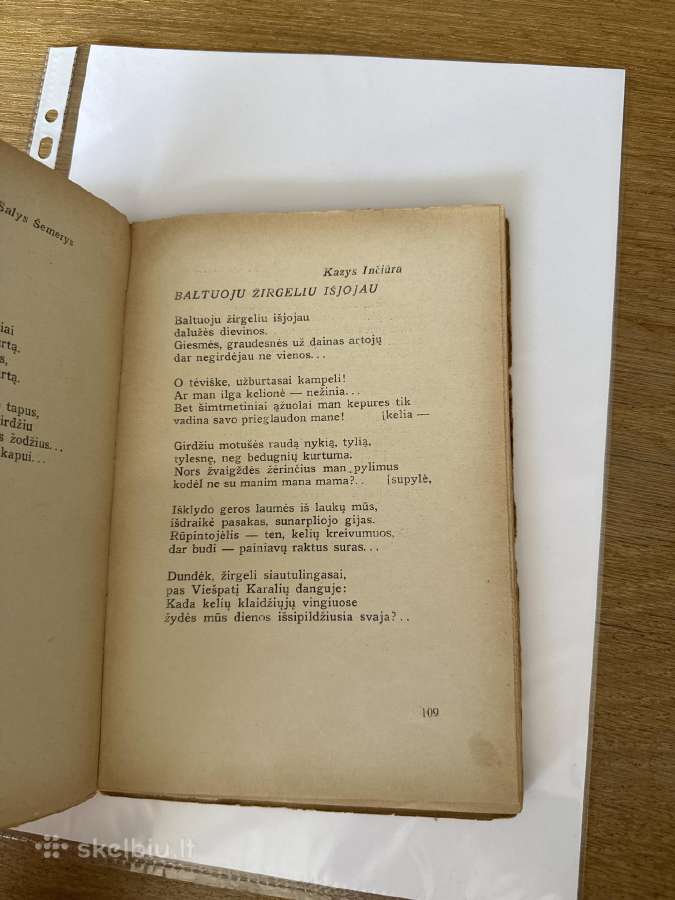 Motina(lietuvių poezija ir beletristika apie motin - nuotraukos Nr. 5