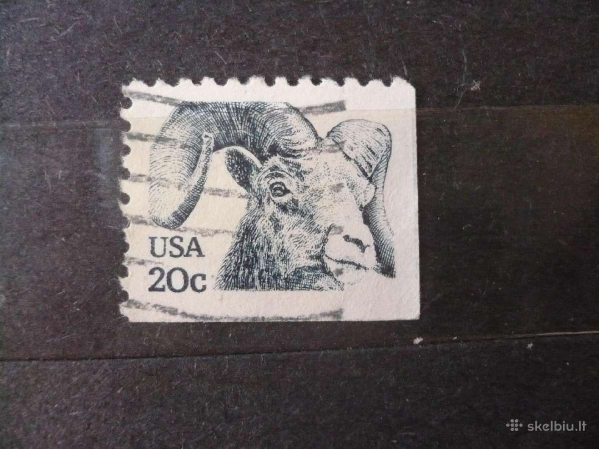 1982 m. Bighorn Sheep brošiūros leidimas