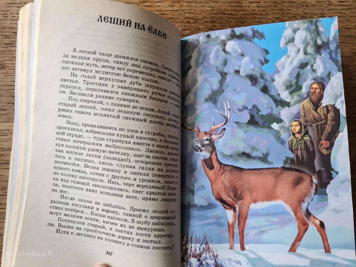 Rusų rašytojų pasakos (rusų k.) - nuotraukos Nr. 9