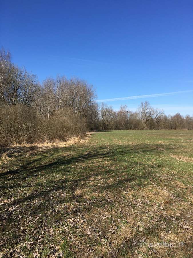 Investiciniai sklypai,paširvintis, Širvintų raj. - nuotraukos Nr. 2